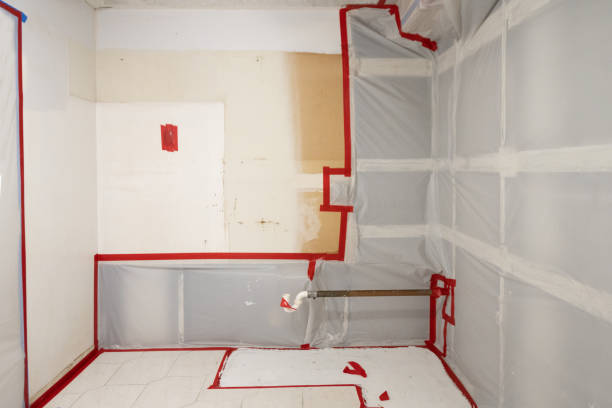 Maysville, KY Mold Removal Company