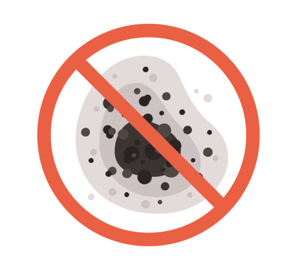 Best Mold Removal for HVAC Installations  in Maysville, KY